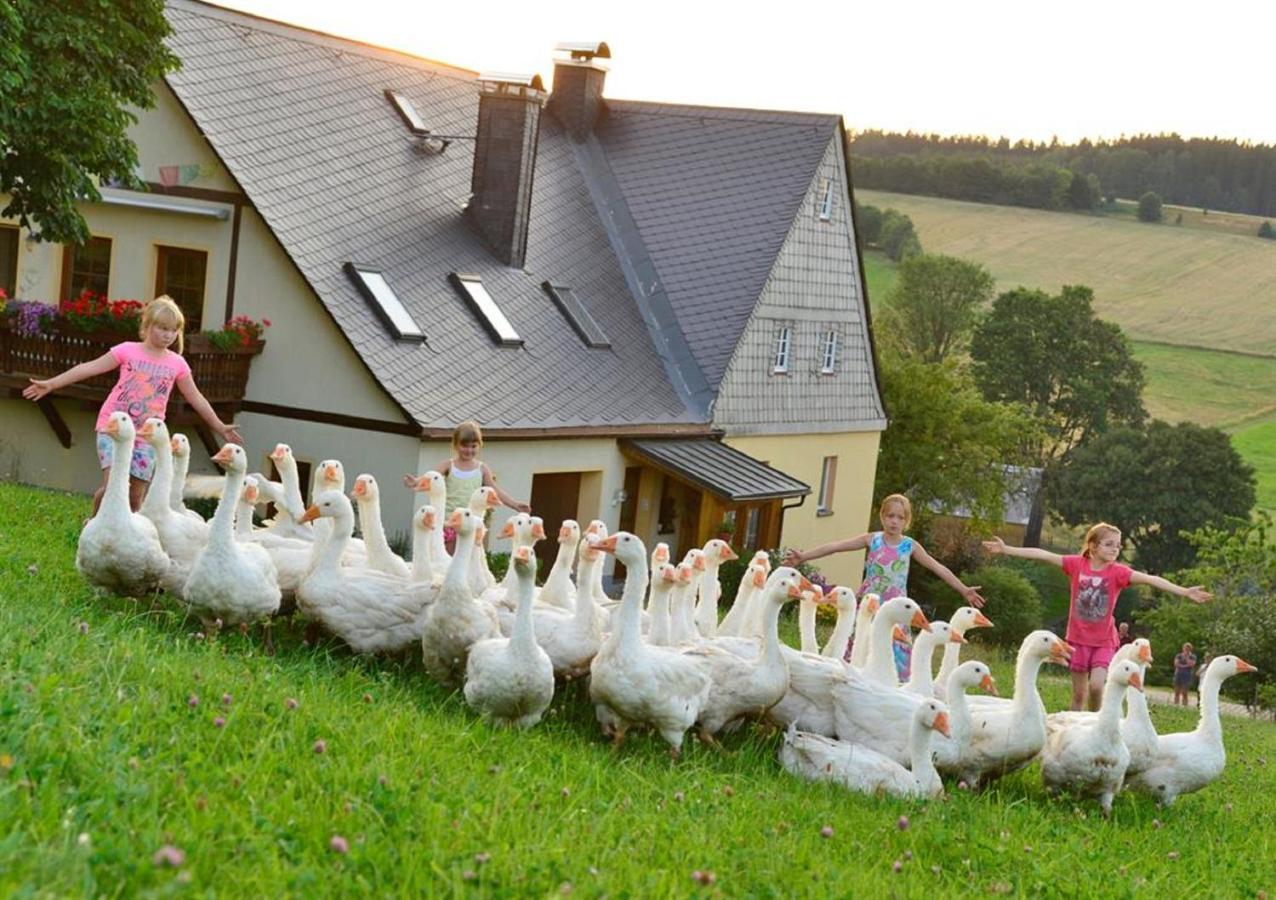 Ferienhof Kuerschner Drebach Dış mekan fotoğraf