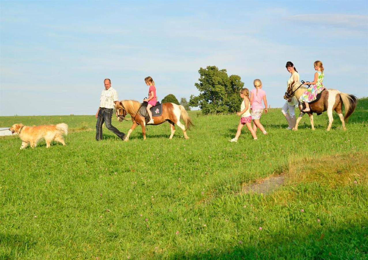 Ferienhof Kuerschner Drebach Dış mekan fotoğraf
