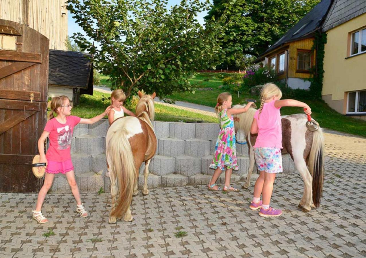 Ferienhof Kuerschner Drebach Dış mekan fotoğraf